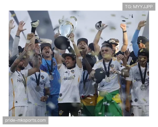 图卢兹攻防策略升级，球队表现出色展望未来赛事