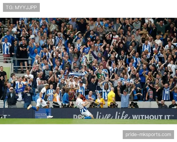 布莱顿新赛季强势崛起，球迷期待球队持续提升竞争力