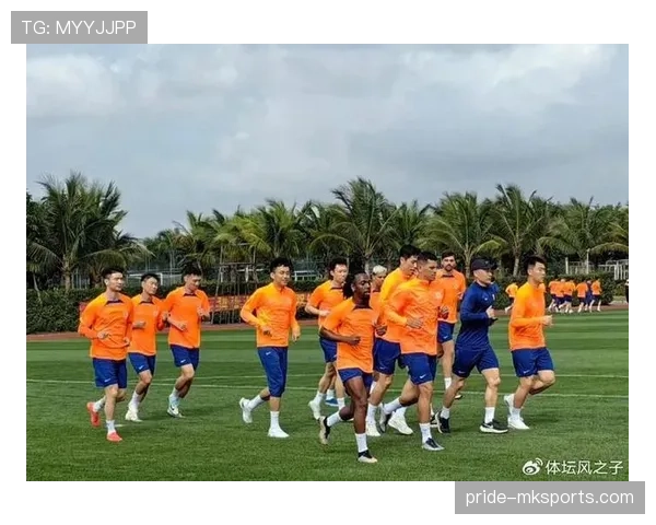 印尼队迎欧洲新援，实力稳步提升引期待